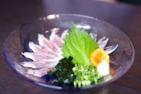 北海道産 新秋刀魚のお造り